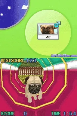 Snapshot
